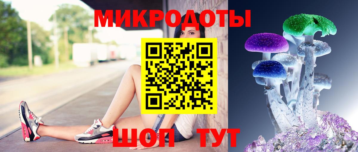 Псилоцибиновые грибы Psilocybine cubensis  Псилоцибиновые грибы мухоморы  Вход с VPN  Томск 
